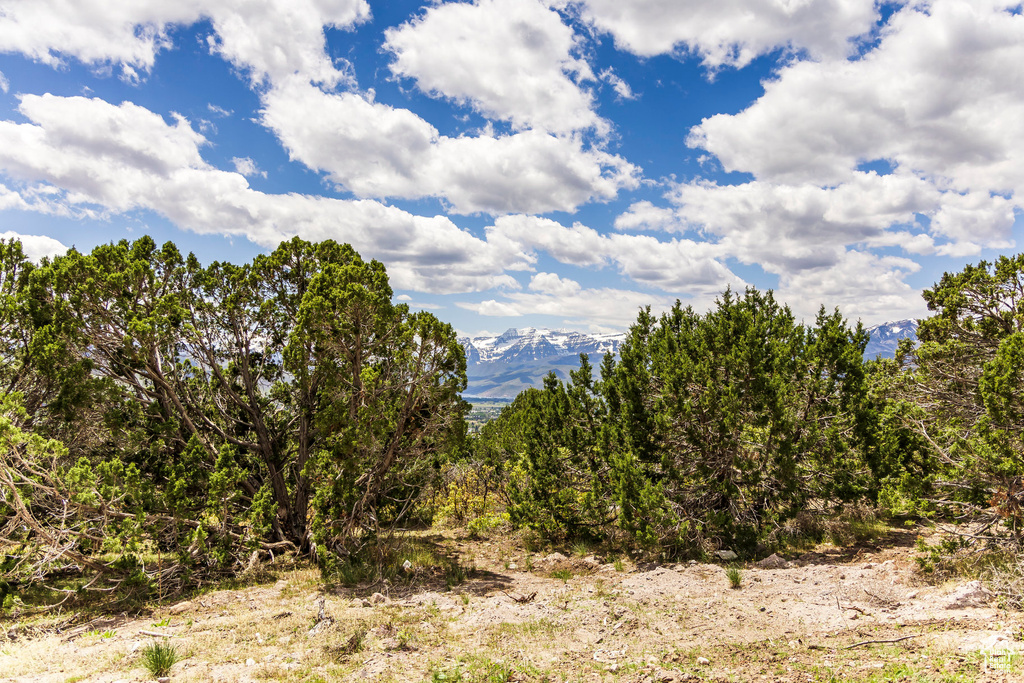 Mountain view