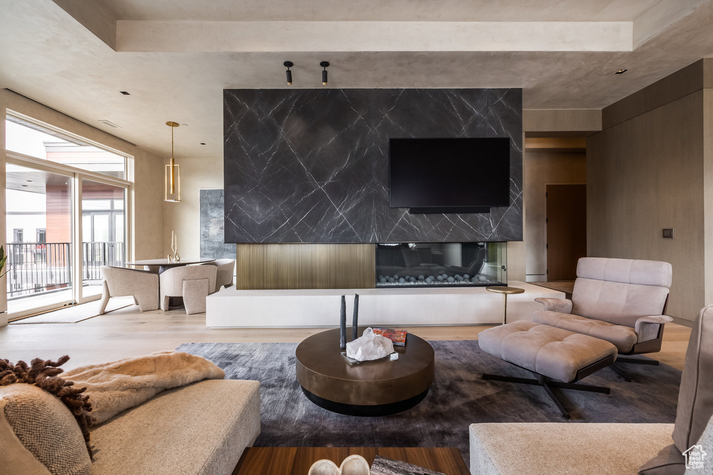Living area featuring wood finished floors and a premium fireplace