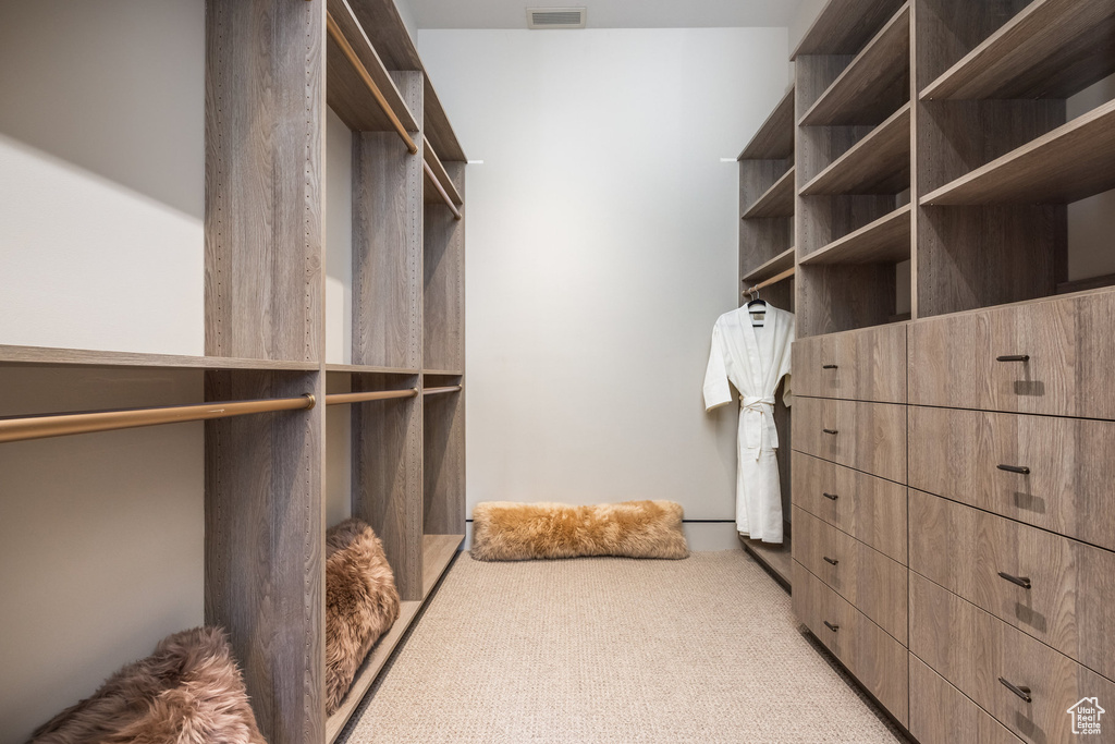 Spacious closet with carpet floors