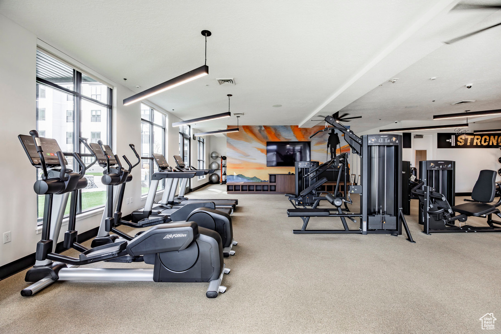 Workout area with carpet flooring
