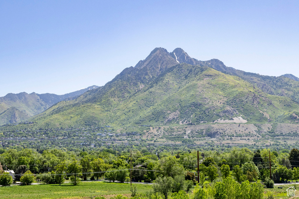 Mountain view
