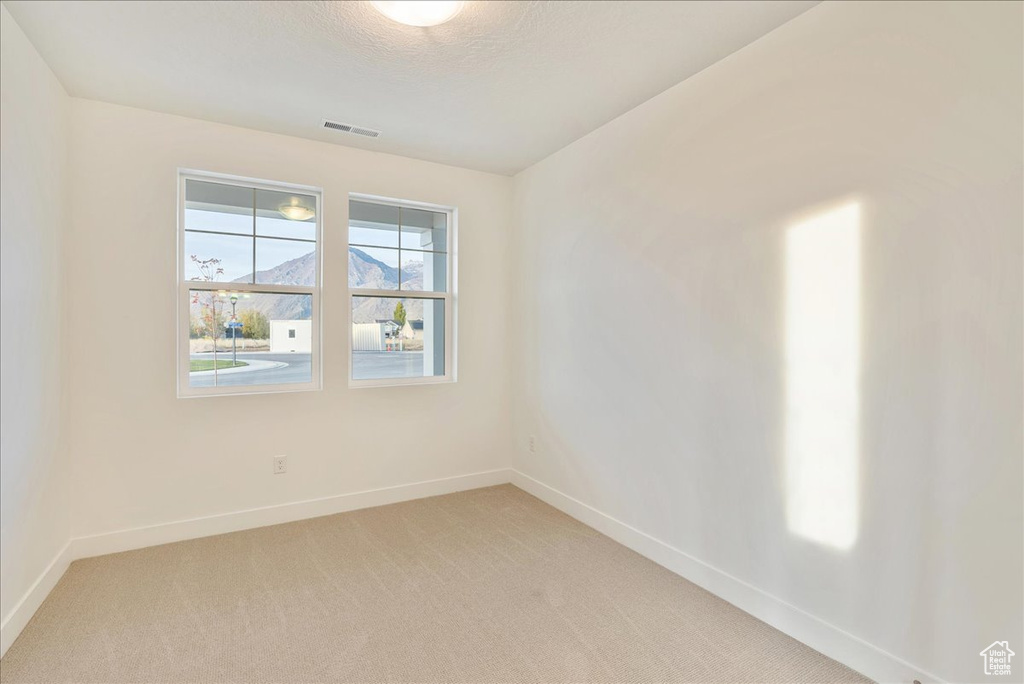 Carpeted spare room with a textured ceiling