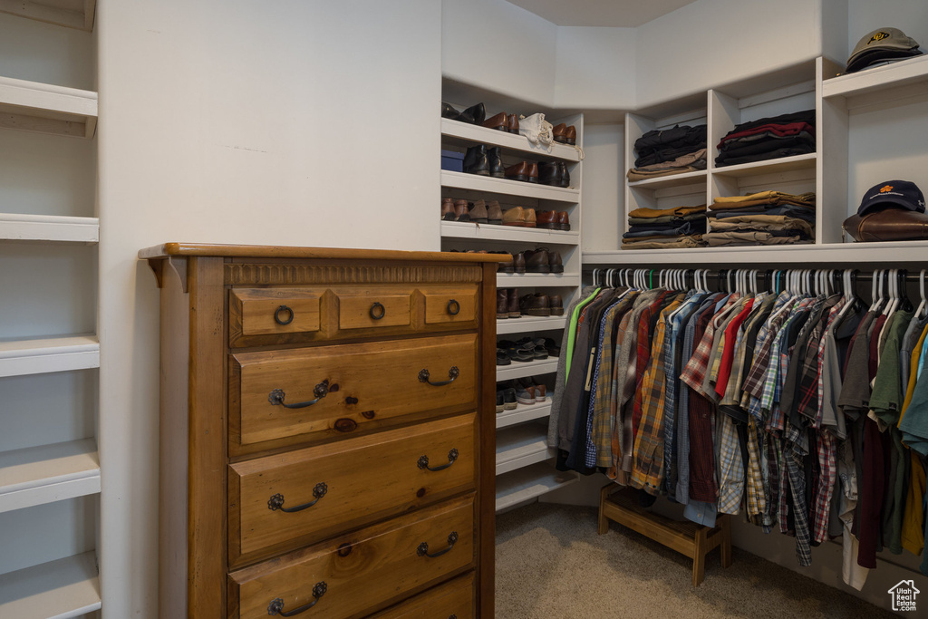 Spacious closet with carpet