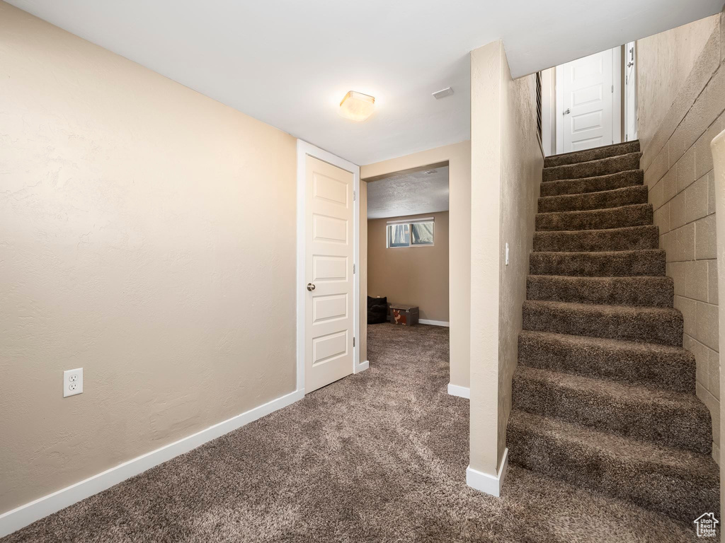 Stairway with carpet flooring