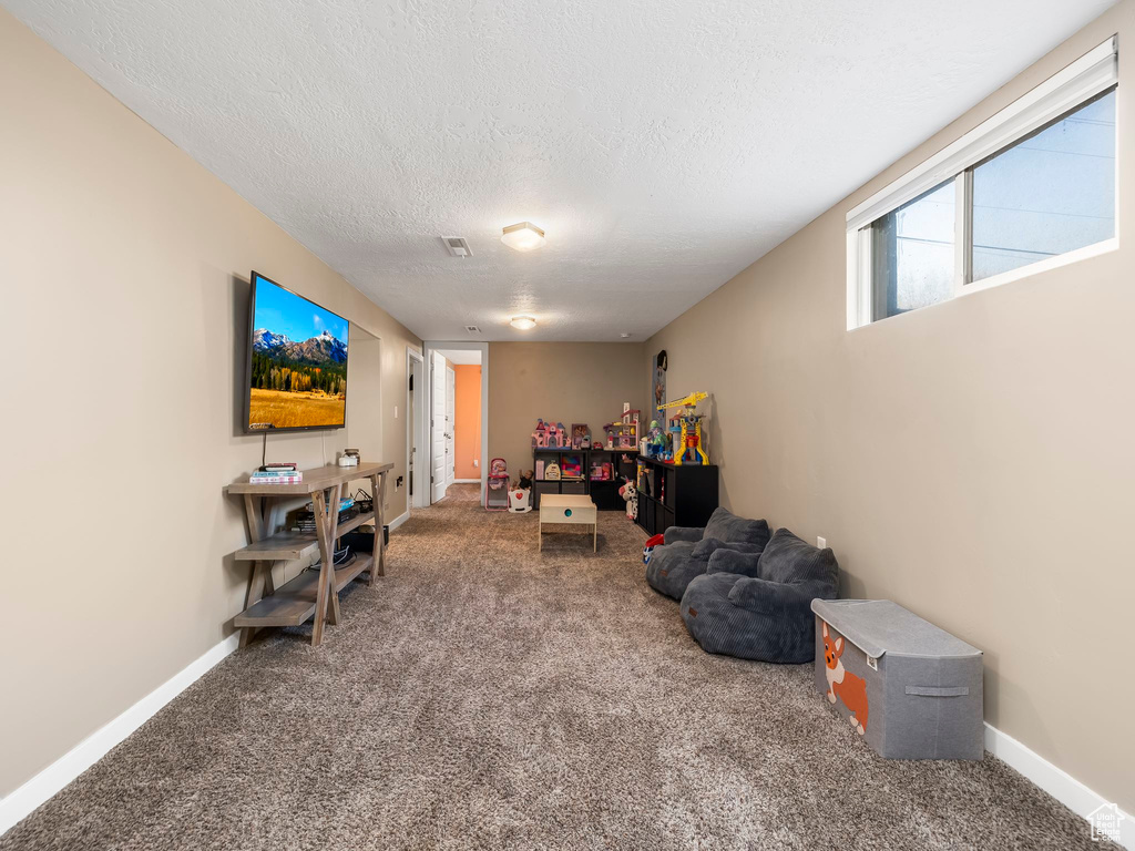 Recreation room with carpet and a textured ceiling