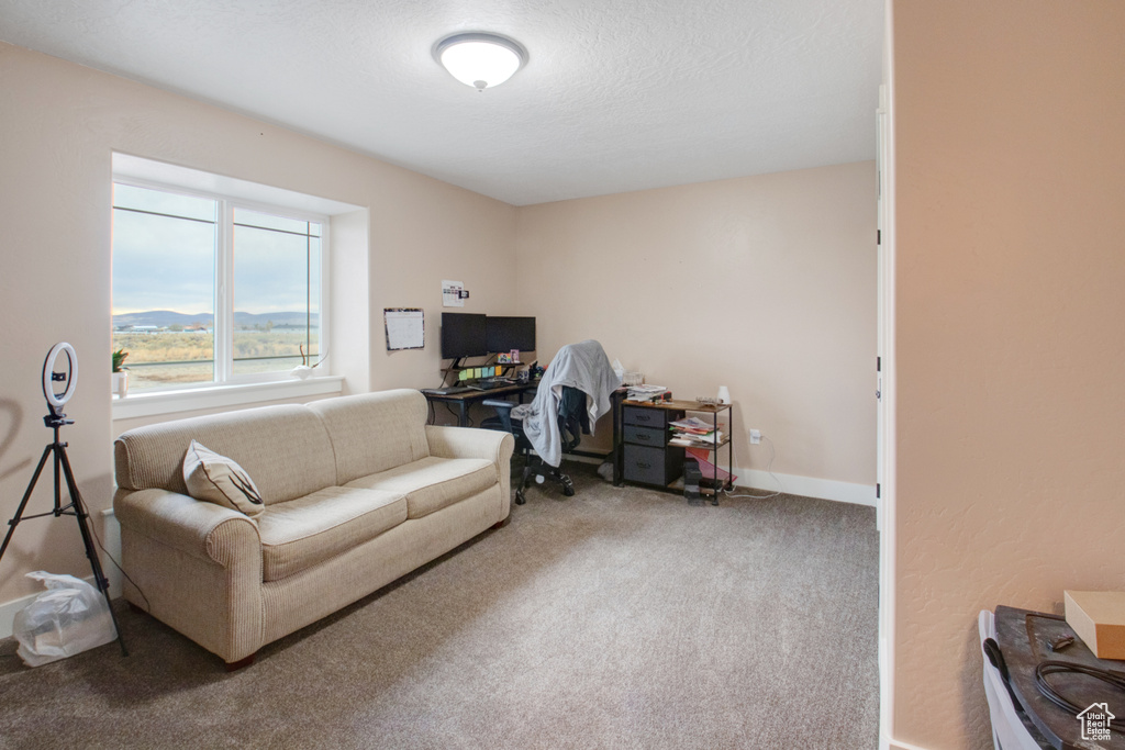 774 ARROYO VISTA DR Spring Creek, NV 89815