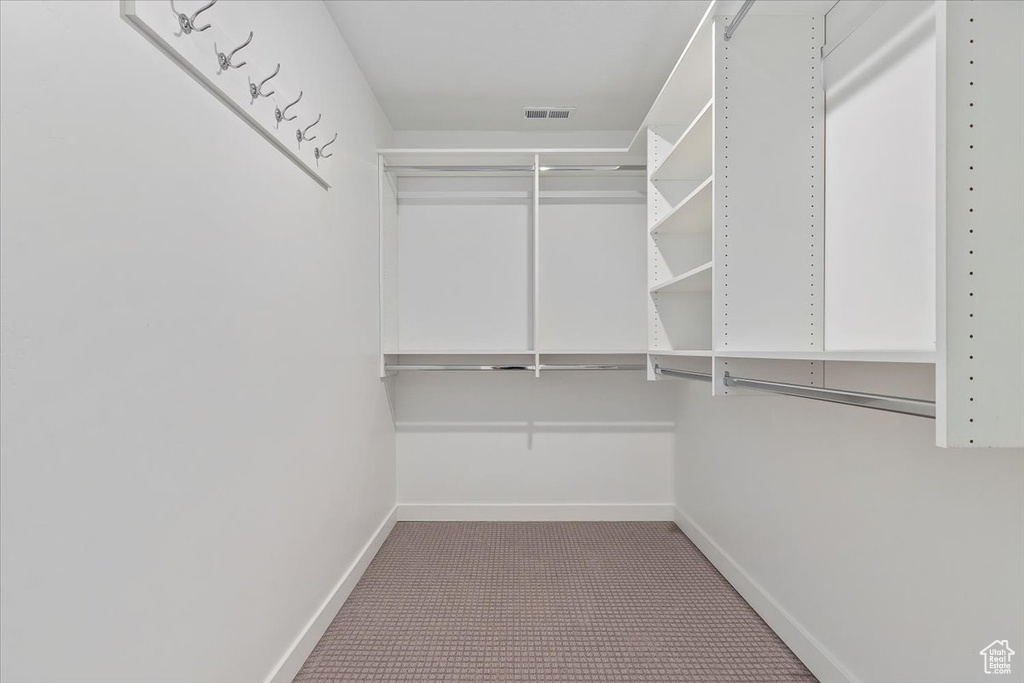 Spacious closet with light carpet