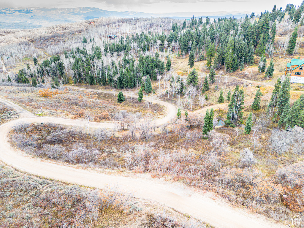 Drone / aerial view featuring a mountain view
