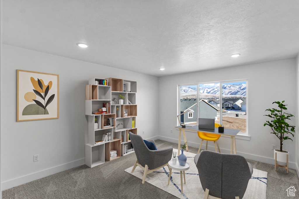 Office area featuring light carpet and a textured ceiling