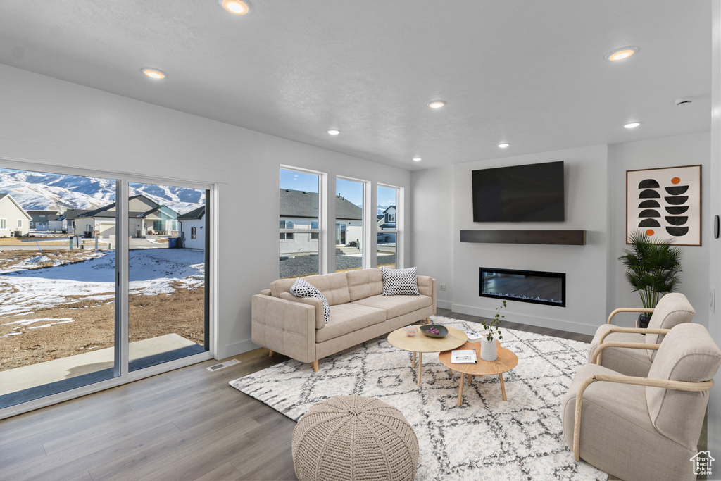 Living room featuring wood-type flooring