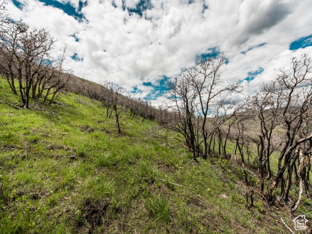 View of landscape