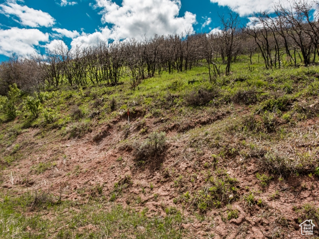 View of landscape with a rural view