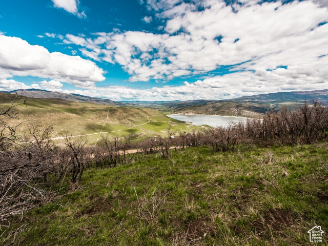 Mountain view with a water view