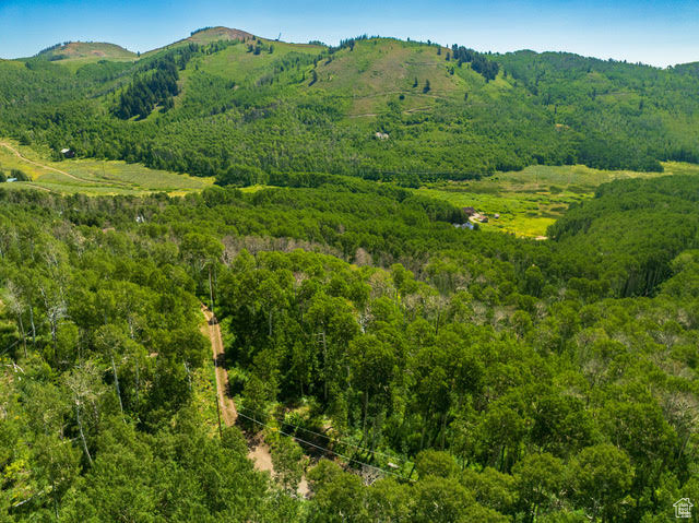 1665 W MARMOT LN Midway, UT 84049
