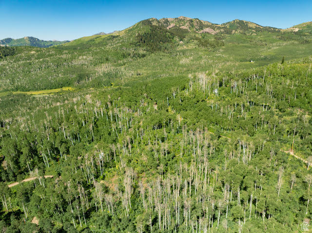 1665 W MARMOT LN Midway, UT 84049