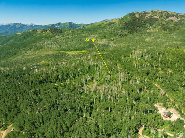 1665 W MARMOT LN Midway, UT 84049