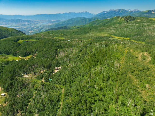 1665 W MARMOT LN Midway, UT 84049