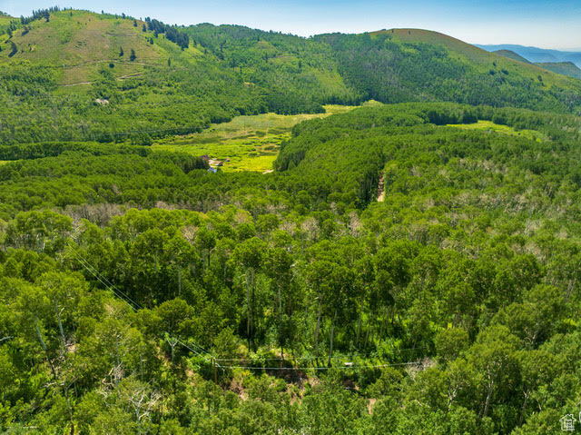 1665 W MARMOT LN Midway, UT 84049
