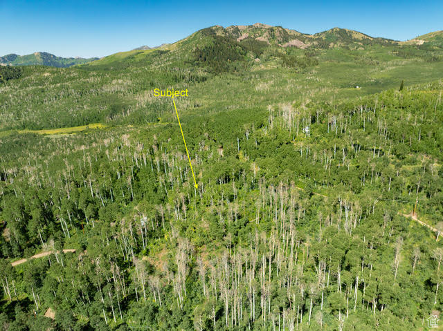 1665 W MARMOT LN Midway, UT 84049
