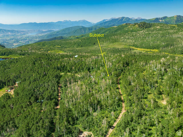 1665 W MARMOT LN Midway, UT 84049