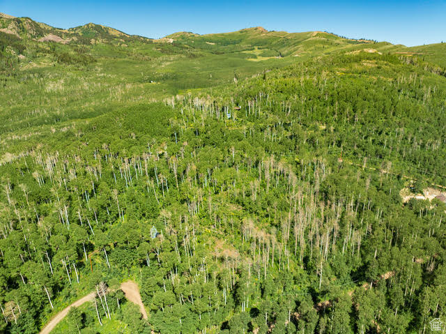 1665 W MARMOT LN Midway, UT 84049