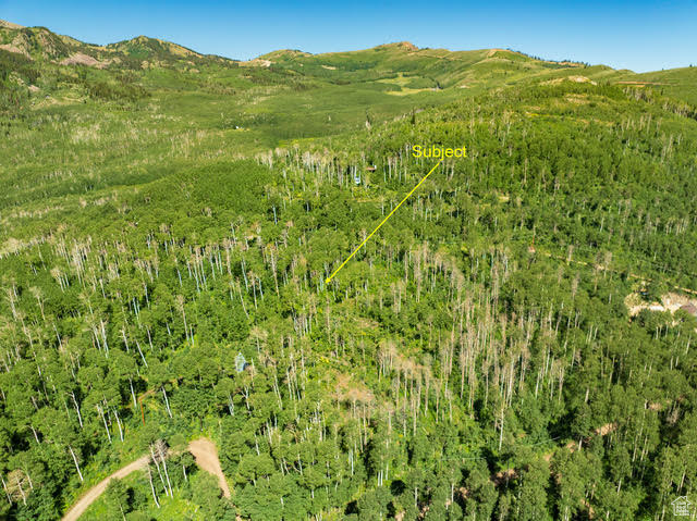 1665 W MARMOT LN Midway, UT 84049