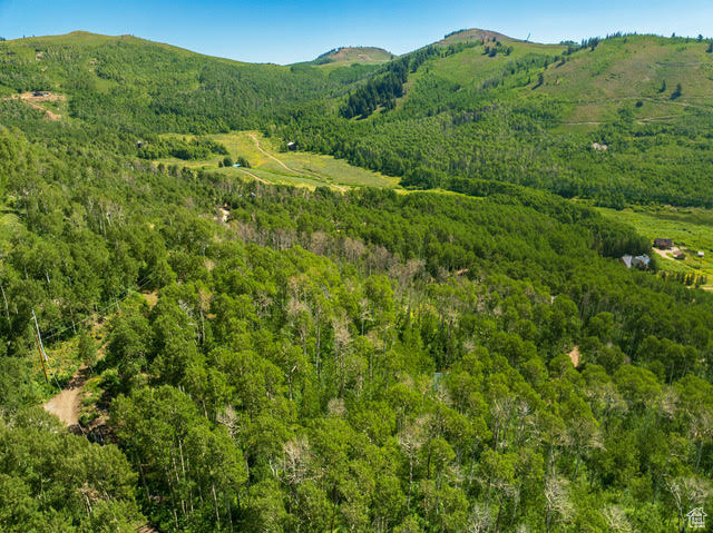 1665 W MARMOT LN Midway, UT 84049