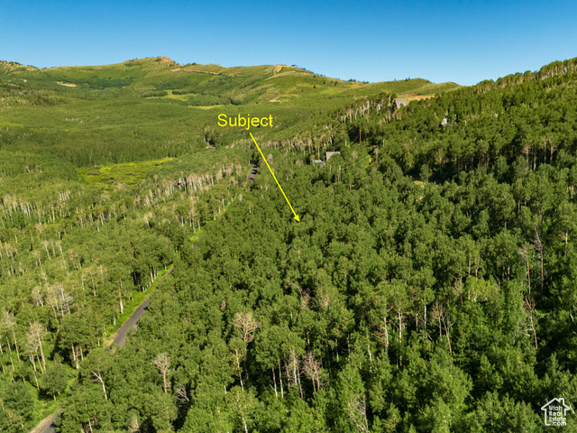 Drone / aerial view of a mountain backdrop