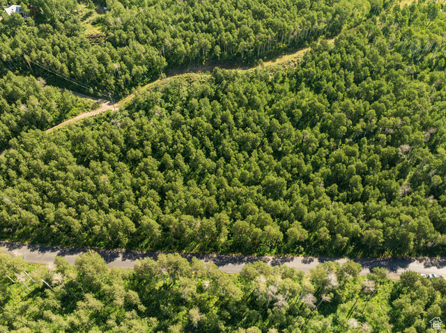 Aerial view of property and surrounding area with a heavily wooded area and property boundaries highlighted