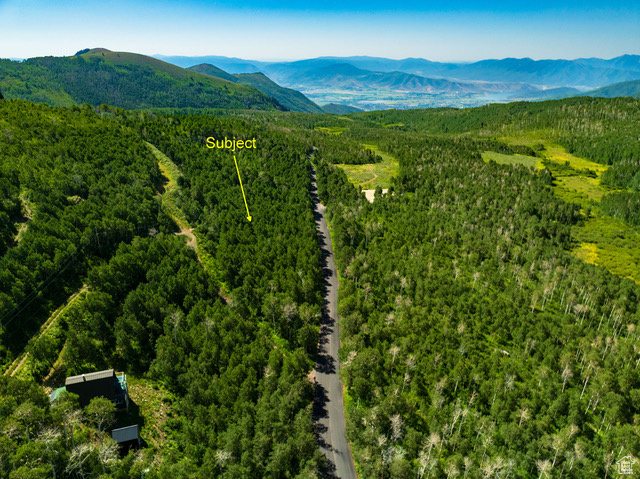 Drone / aerial view of a forest and a mountainous background