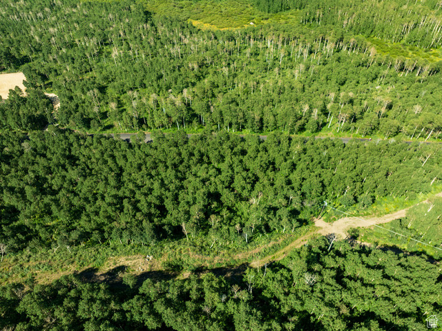 Aerial view of property\\\'s location