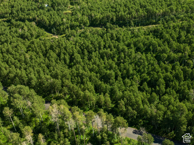 Aerial view of property\\\'s location featuring a heavily wooded area