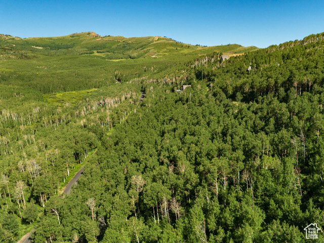 View of mountain backdrop featuring a forest