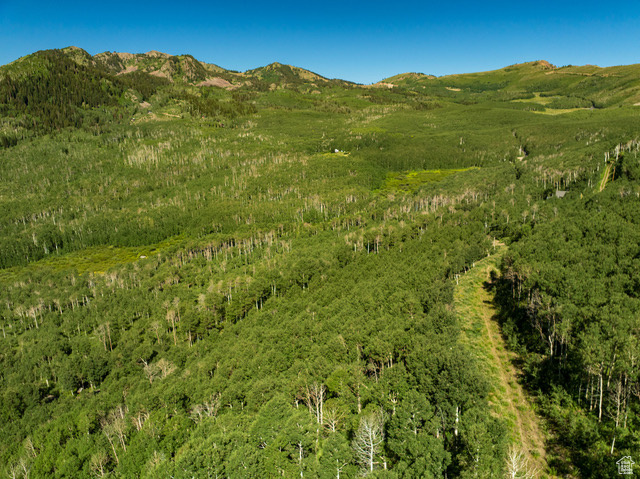 View of mountain backdrop with a forest