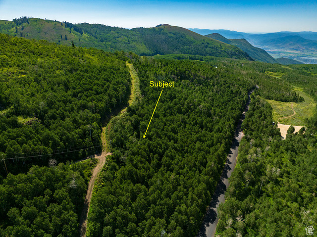 View of property location featuring a heavily wooded area and property boundaries highlighted