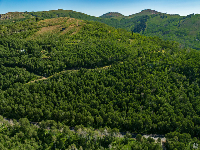 View of mountain backdrop with a forest