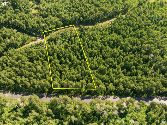 View of property location with a heavily wooded area and property boundaries highlighted