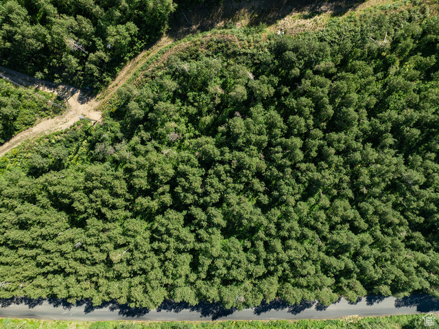 Aerial overview of property\\\'s location