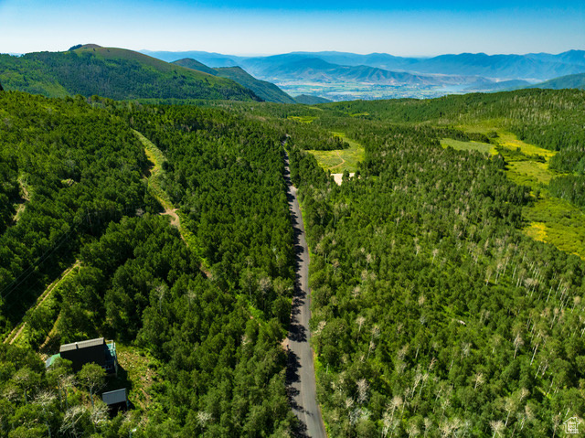 Drone / aerial view of a forest and mountains
