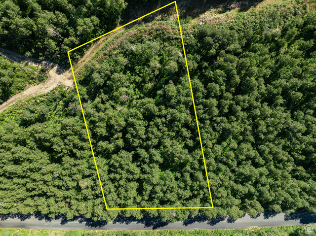 Aerial view of property\\\'s location with property parcel outlined