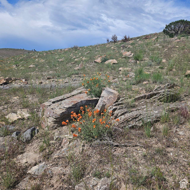View of mountain background