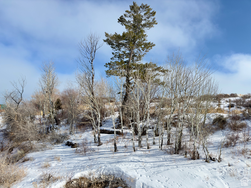 View of snow covered land