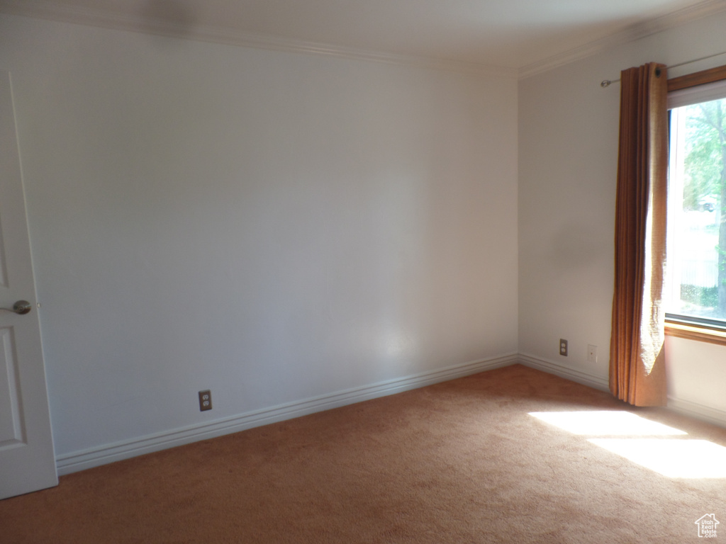 Empty room featuring light colored carpet, ornamental molding, and baseboards