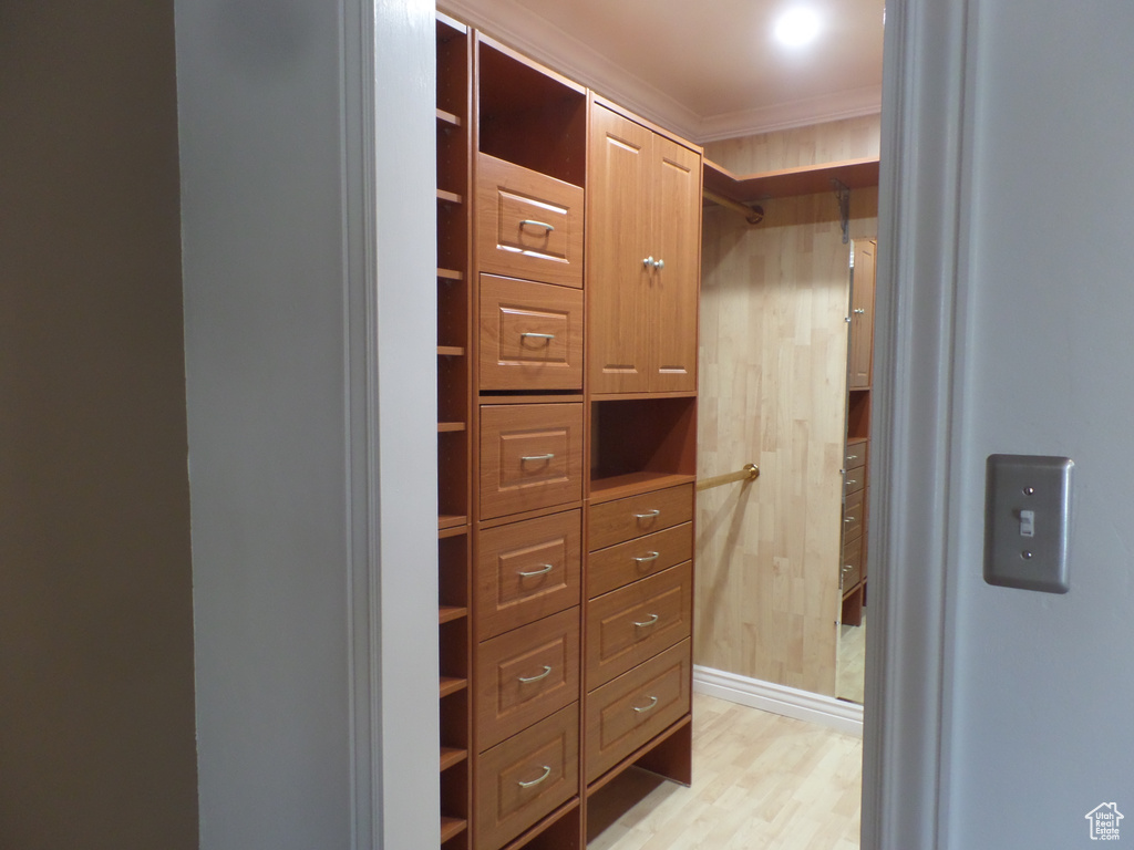Spacious closet featuring light wood-type flooring