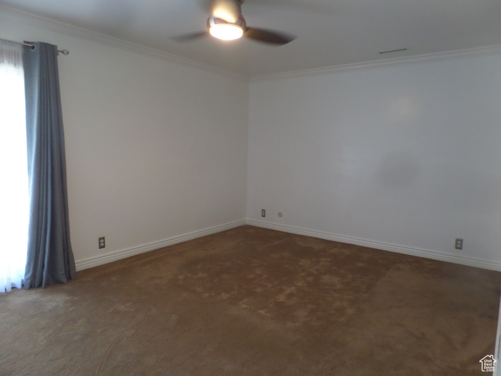Spare room with a ceiling fan, carpet, ornamental molding, and baseboards