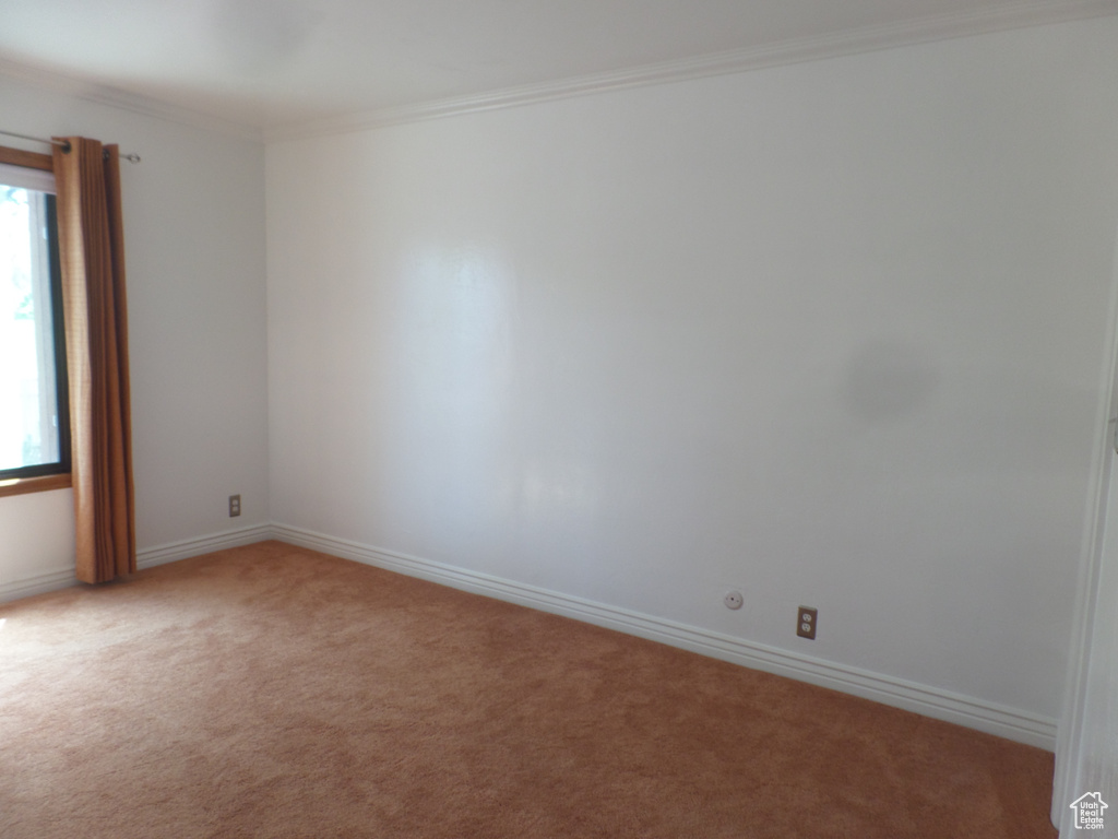 Unfurnished room with light carpet, baseboards, and ornamental molding