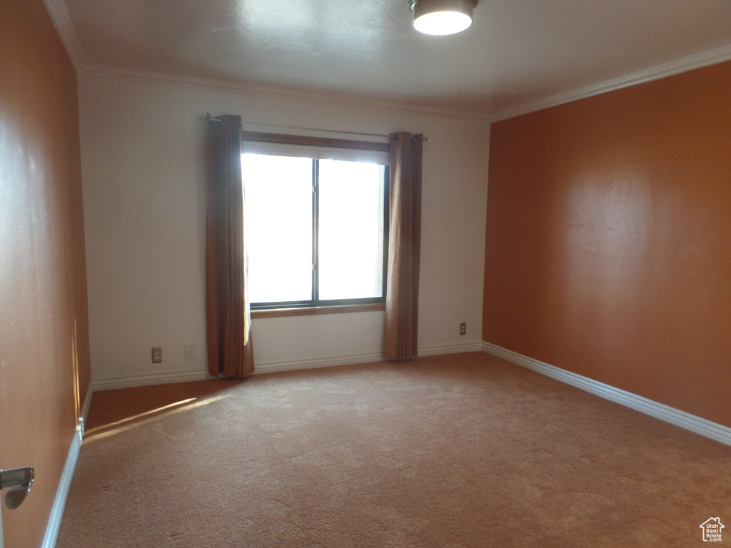 Spare room featuring crown molding and light carpet