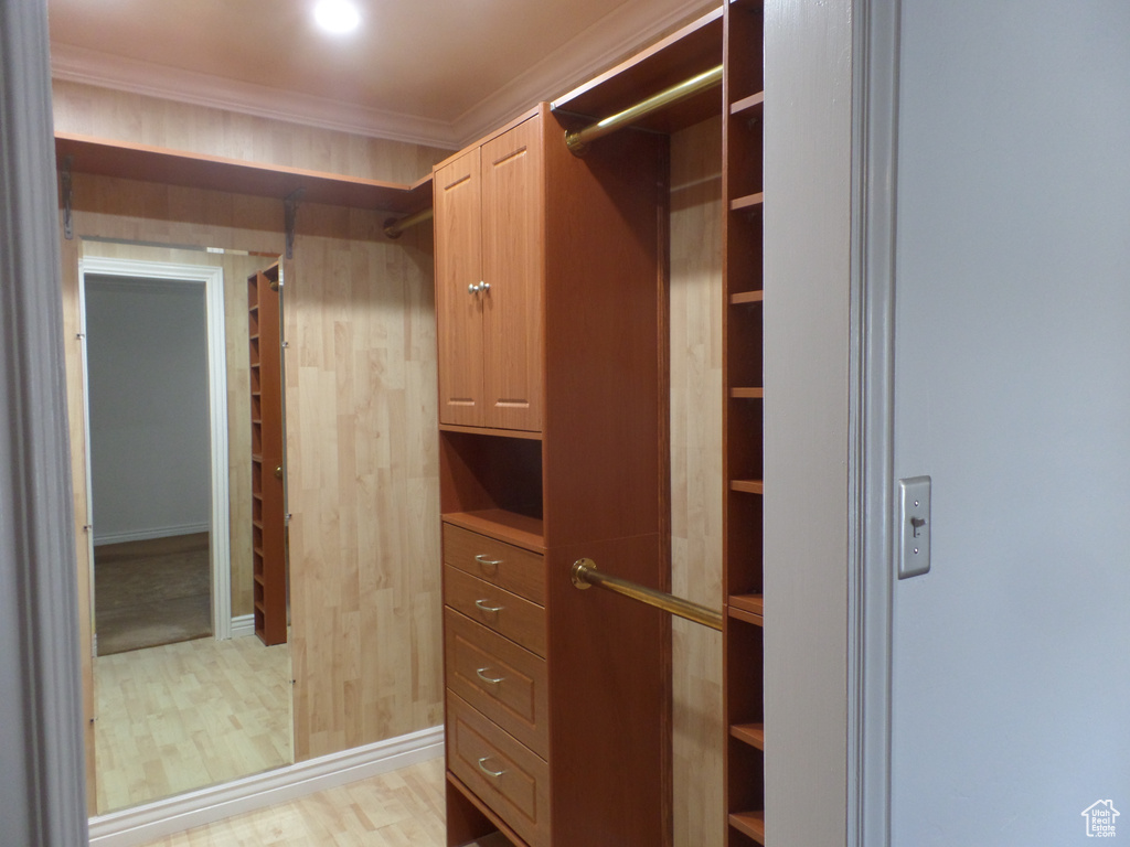 Spacious closet featuring light wood-type flooring
