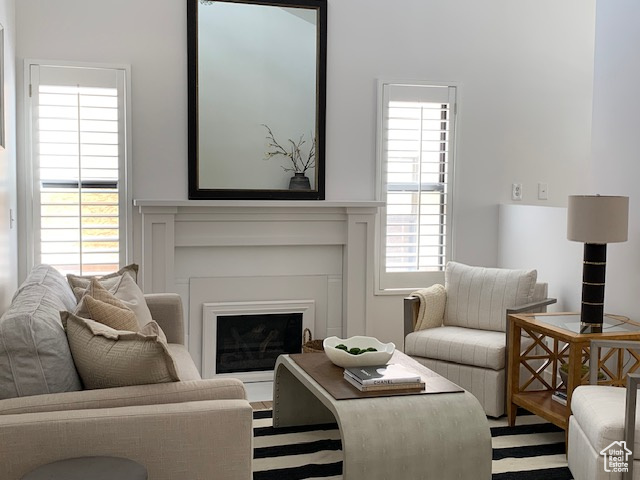 Living room featuring a fireplace