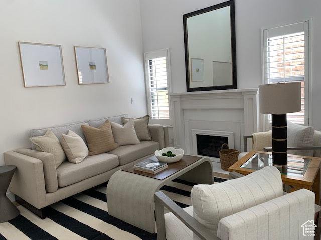 Living area with a fireplace